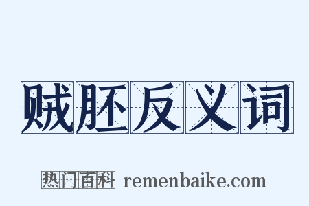 贼胚反义词是什么意思的图片
